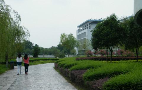 扬州，母校及东关街怀古。3