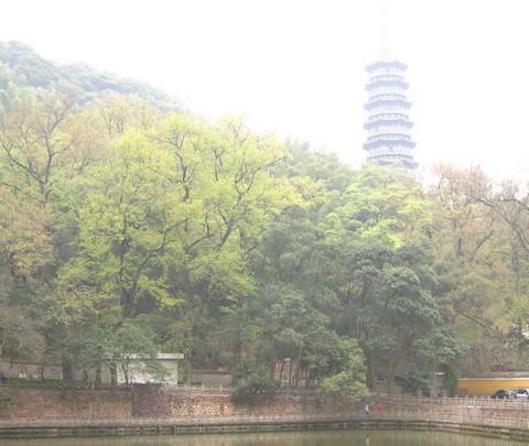 宁波老宅初见&天童15