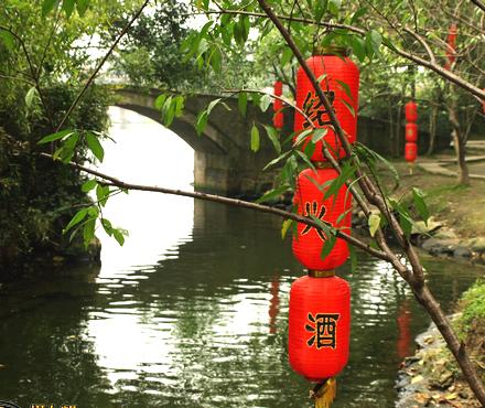 水石盆景—绍兴东湖9