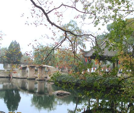 水石盆景—绍兴东湖39