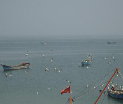 海上明月共潮升21