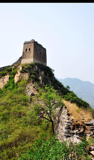 偶遇夹扁楼1