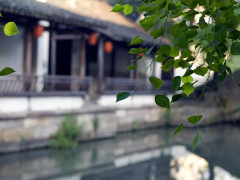 绍兴“大禹开元”，奢享梦里水乡7