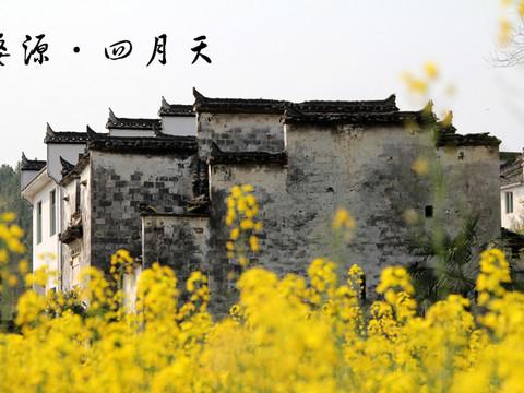 四月的婺源-完全自由行3日12