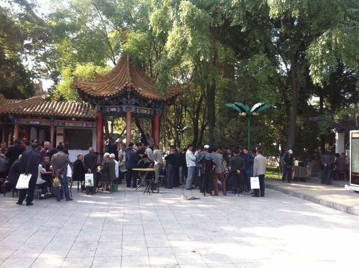 一路向西——额济纳自驾游日记（二）6