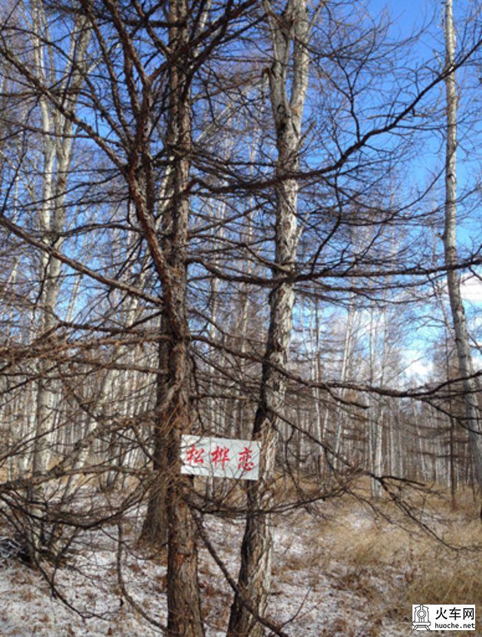 呼伦贝尔北线游记（13国庆）18