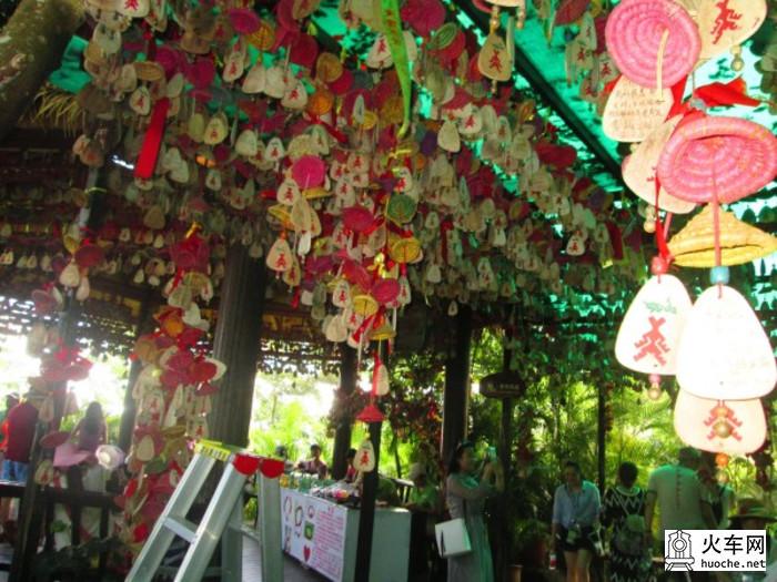 两个姑娘的三亚之旅36