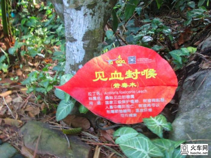 两个姑娘的三亚之旅41