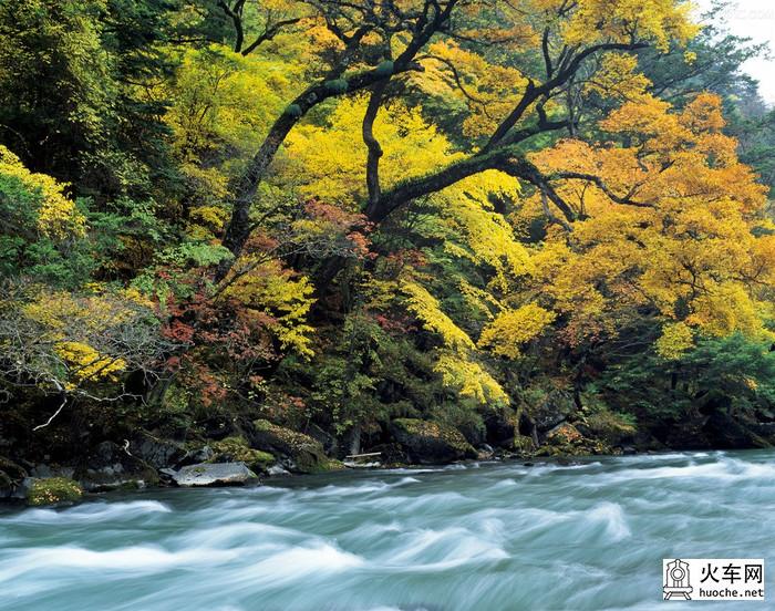 15年好色之徒们,一起带上相机去四川拍红叶彩林去19