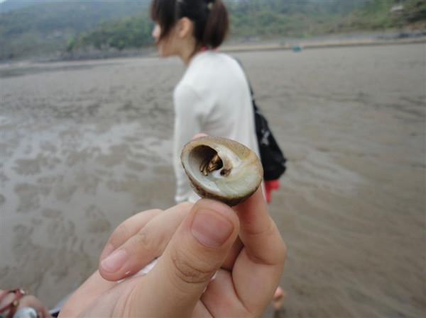 温州苍南王家山海边半日游7
