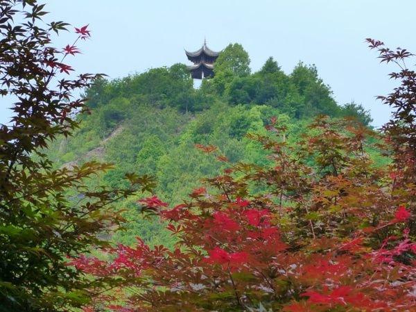 浙闽赣之行·嵊州金庭王羲之故居7