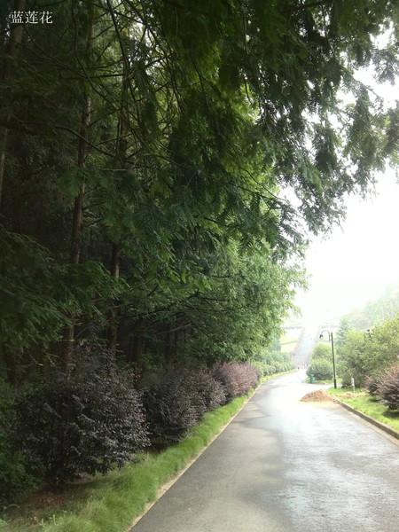 南山水库,百丈飞瀑一日游7