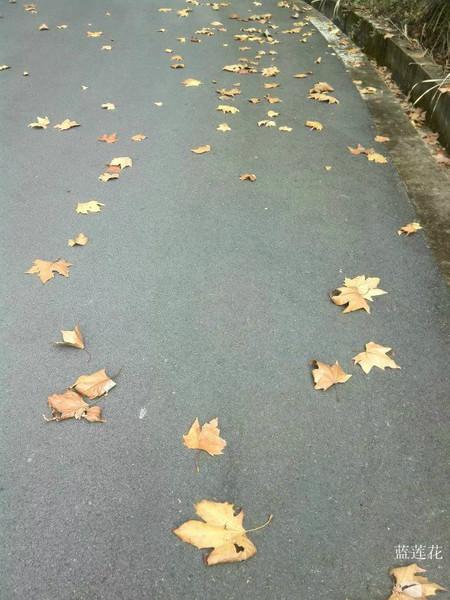 南山水库,百丈飞瀑一日游12
