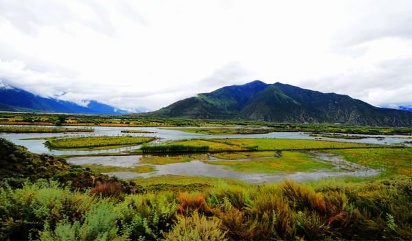 第四次进藏之林芝(雅鲁藏布大峡谷、直白村、秀巴古堡、南伊沟)28
