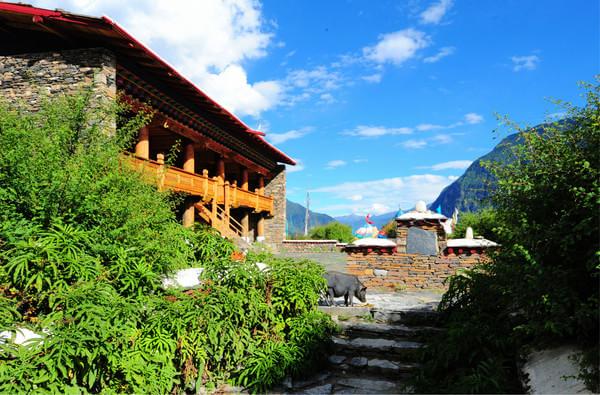 第四次进藏之林芝(雅鲁藏布大峡谷、直白村、秀巴古堡、南伊沟)32