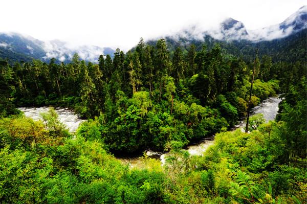 第四次进藏之林芝(雅鲁藏布大峡谷、直白村、秀巴古堡、南伊沟)38