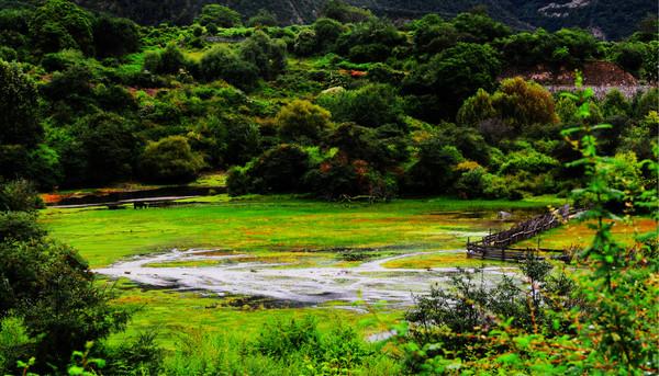 第四次进藏之林芝(雅鲁藏布大峡谷、直白村、秀巴古堡、南伊沟)21