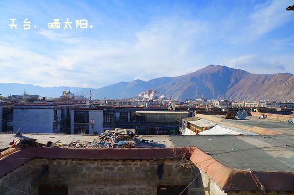 拉萨,登巴,及一切的其他的其他。4