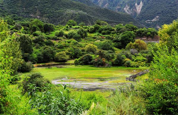 第四次进藏之林芝(雅鲁藏布大峡谷、直白村、秀巴古堡、南伊沟)11