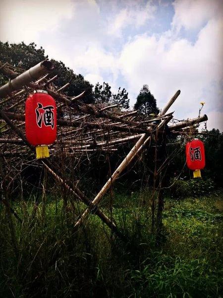 渔寮露营31
