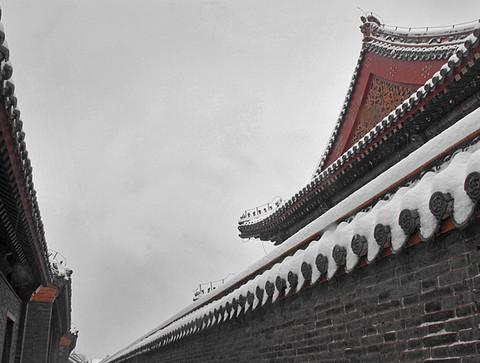 沈阳故宫雪里红3