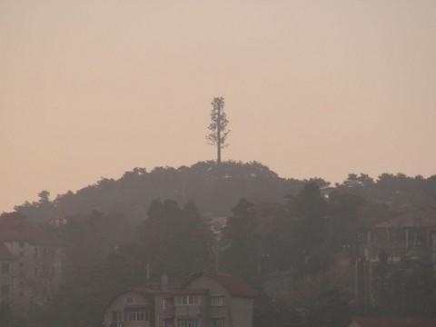 2012庐山恋61