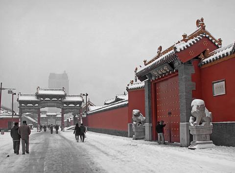 沈阳故宫雪里红16