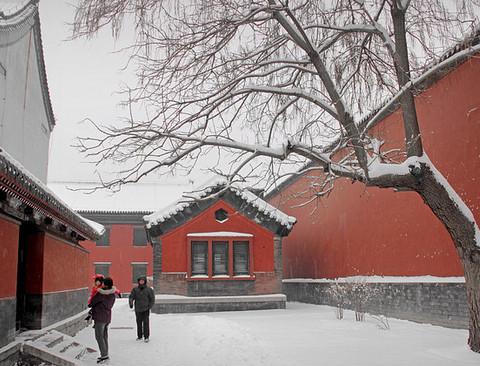 沈阳故宫雪里红4