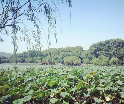 [小小发现家] —— 爱的旅行 ”上海，乌镇，杭州“ （三）2012.09.2823