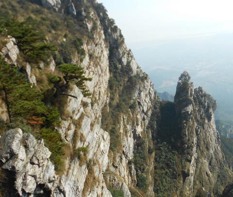 为自己的18岁,送上一份特殊的礼物。36