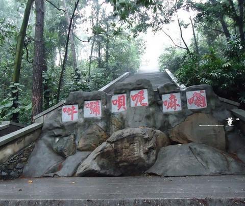 南宁青秀山42