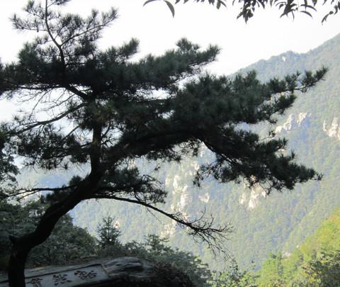 庐山,九江。10