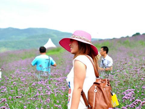 沈舵蜂友同寻紫色浪漫——薰衣草庄园18