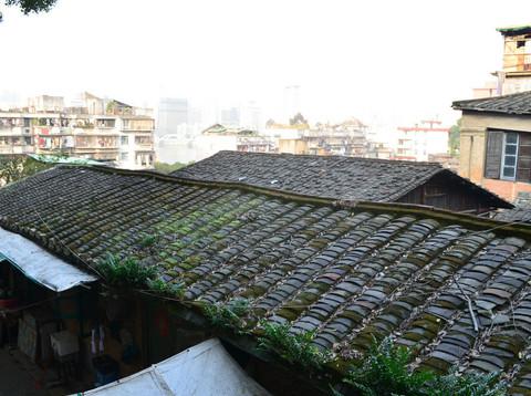 西禅寺、泛船浦天主堂、中洲基督教堂、仓山老洋房一日游43