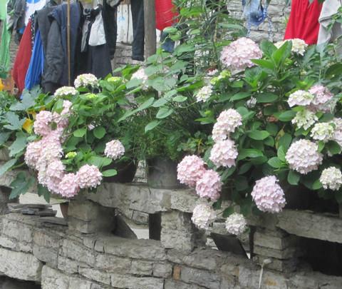 5月贵阳行 已更新完毕3