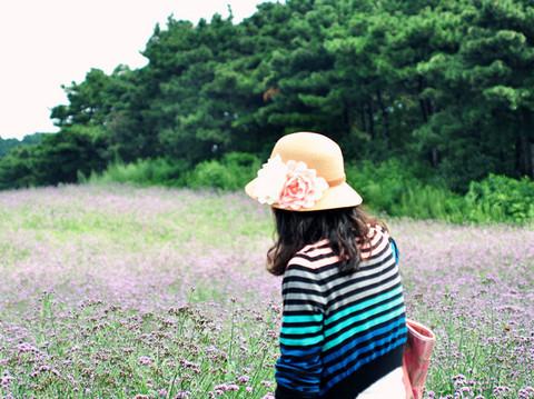 沈舵蜂友同寻紫色浪漫——薰衣草庄园21