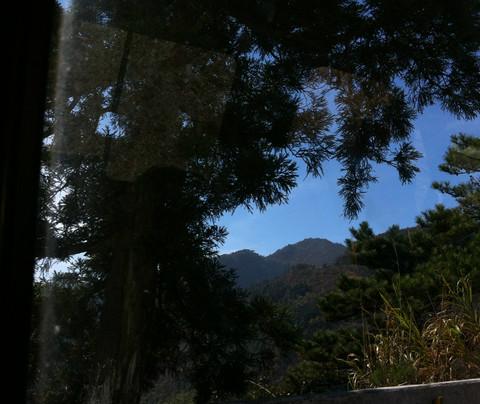 深秋庐山——第一次独自旅行1
