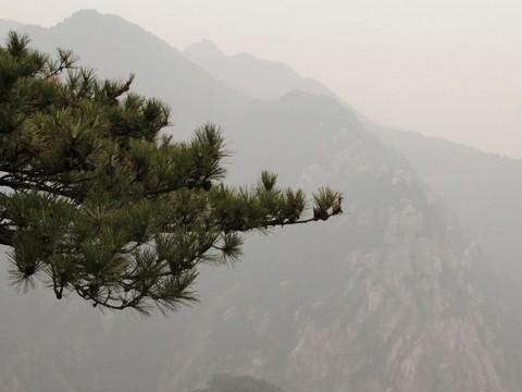 2012庐山恋20