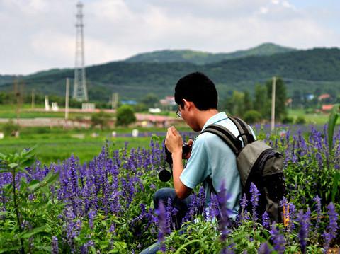 沈舵蜂友同寻紫色浪漫——薰衣草庄园16