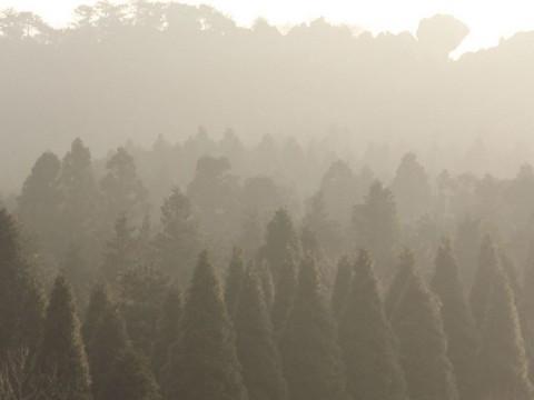 2012庐山恋51