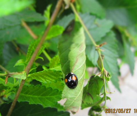 5月贵阳行 已更新完毕8