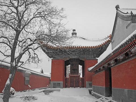 沈阳故宫雪里红5