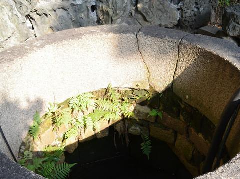 西禅寺、泛船浦天主堂、中洲基督教堂、仓山老洋房一日游6