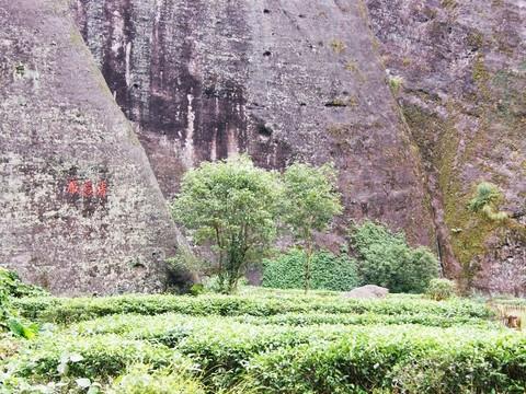 一个人的私奔--武夷山24