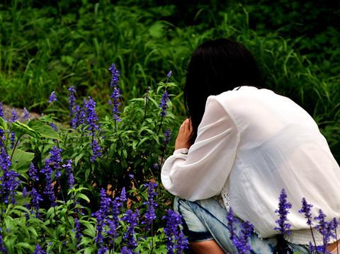 沈舵蜂友同寻紫色浪漫——薰衣草庄园17
