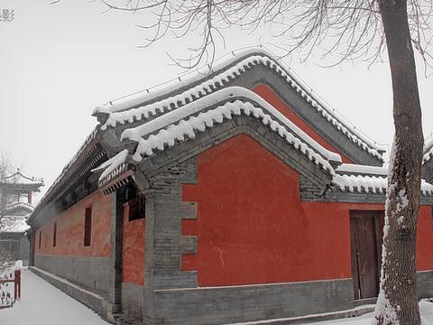 沈阳故宫雪里红7