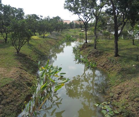 海珠湿地公园开放首日头啖汤,半日游4