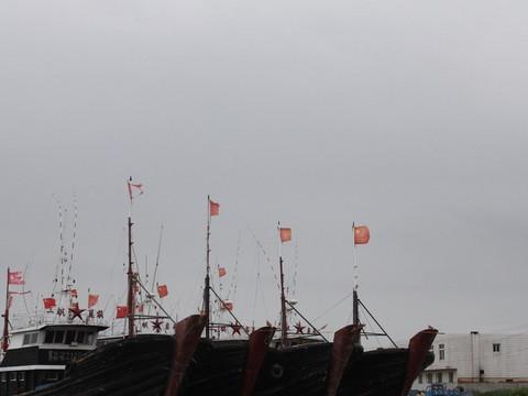 黄金海岸偶遇暴风雨5
