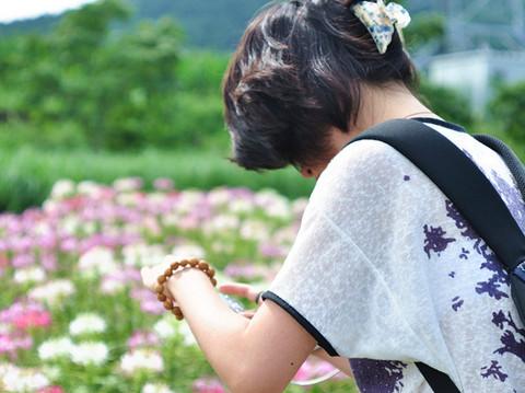 沈舵蜂友同寻紫色浪漫——薰衣草庄园15