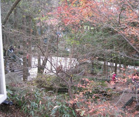 深秋庐山——第一次独自旅行10